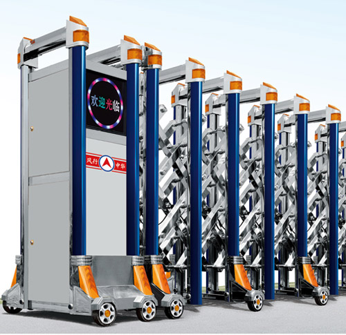 ���P���s�T������̖