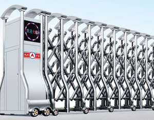 ���P���s�T�L����̖